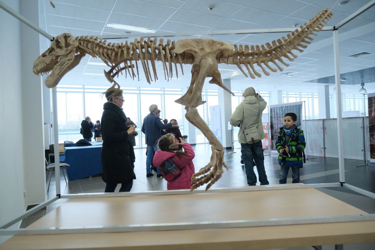  Dinozaury 3D w Targach Lublin (zdjęcie 4) - Autor: Maciej Kaczanowski