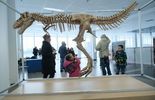 Dinozaury 3D w Targach Lublin (zdjęcie 4)