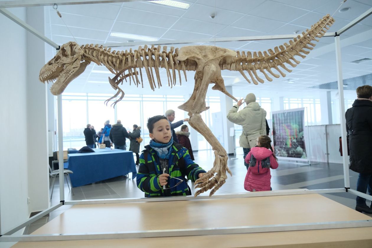  Dinozaury 3D w Targach Lublin (zdjęcie 3) - Autor: Maciej Kaczanowski