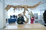 Dinozaury 3D w Targach Lublin (zdjęcie 3)