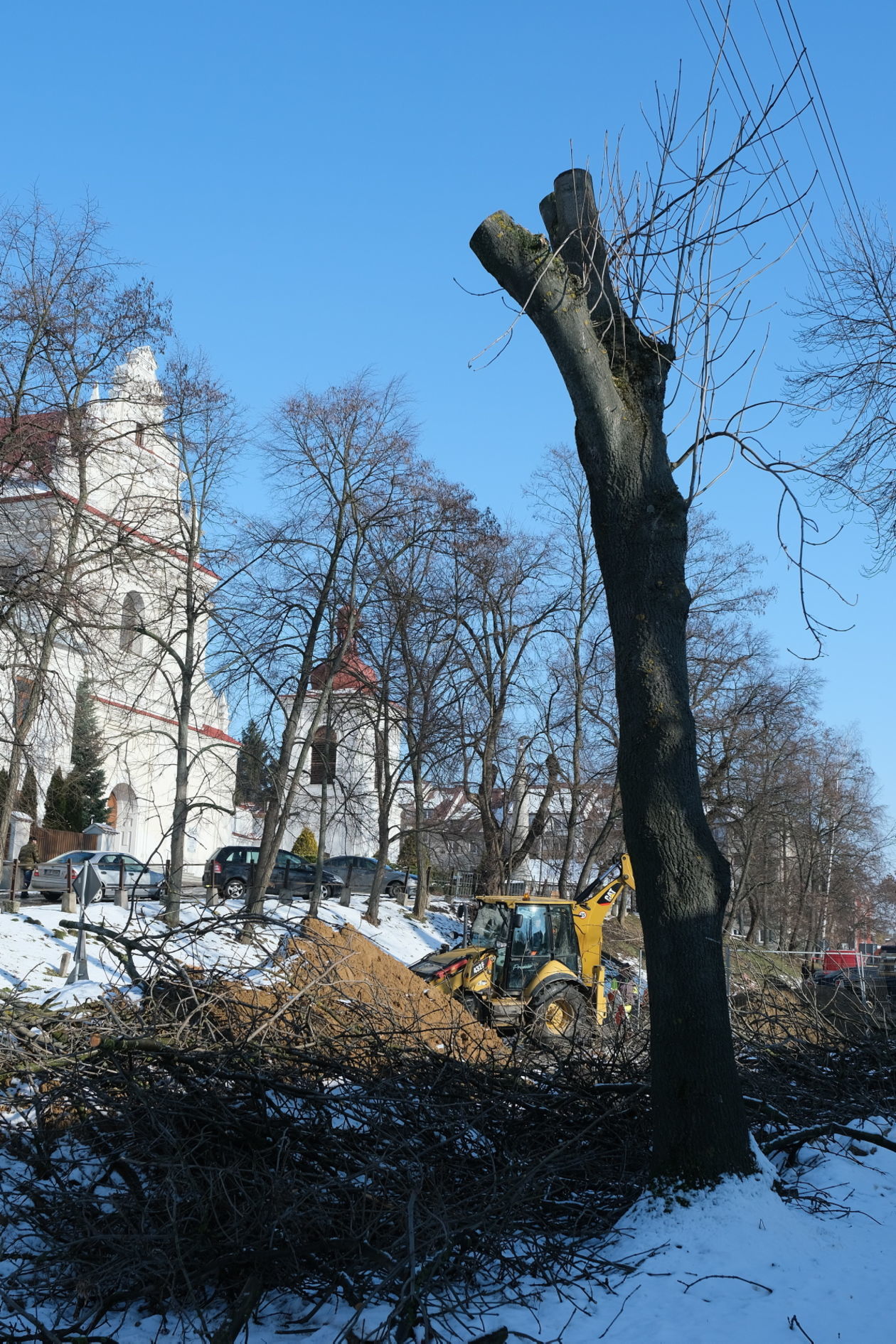  Duża wycinka drzew wzdłuż przebudowywanej ul. Kalinowszczyzna (zdjęcie 17) - Autor: Maciej Kaczanowski