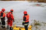 Lodowe ćwiczenia strażaków w Puławach (zdjęcie 5)