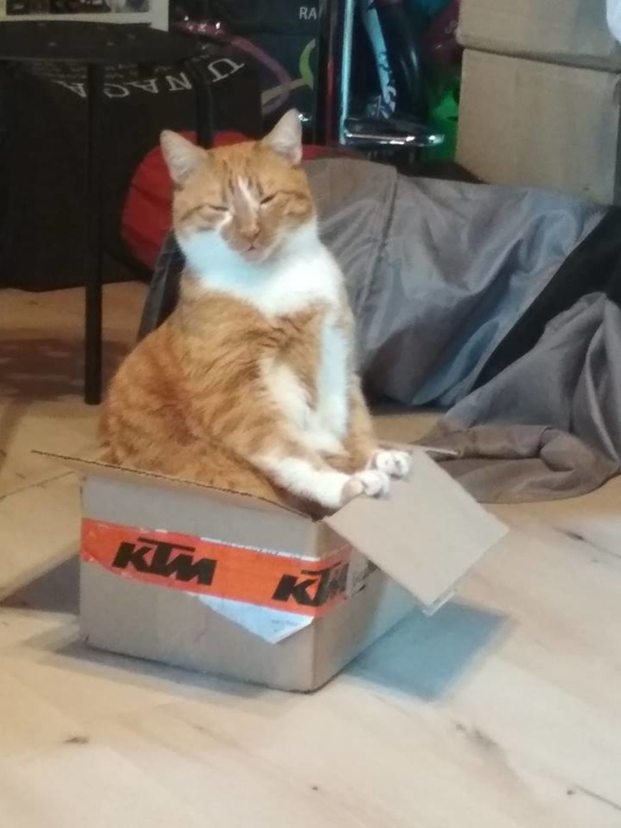  <p>Lucky</p>