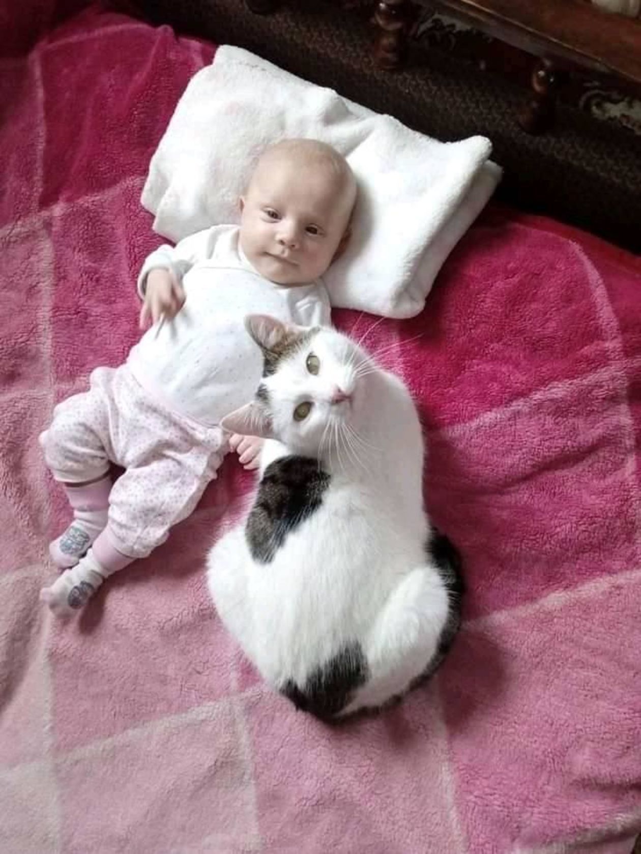  <p>Klaudia i Maniek</p>