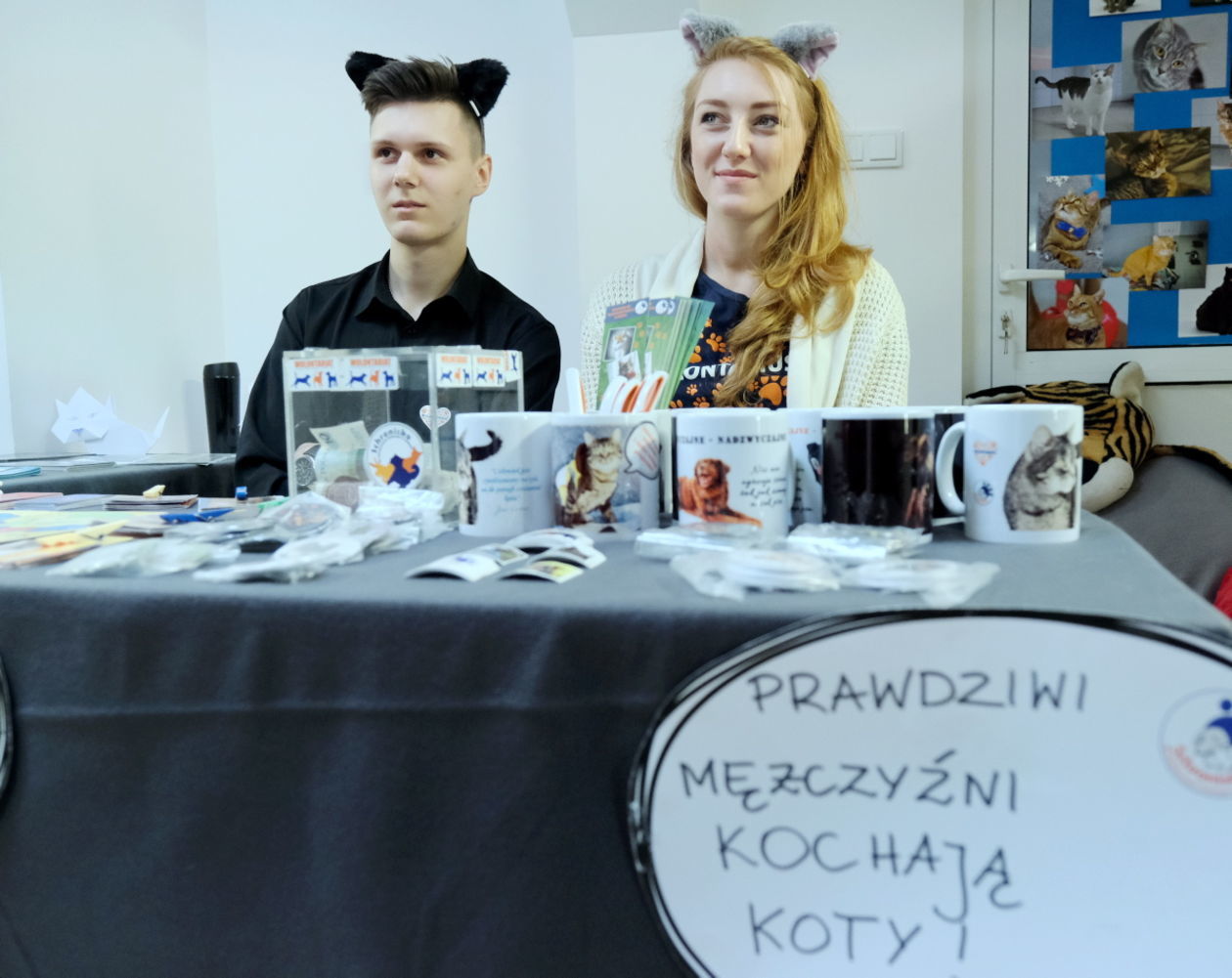  Światowy Dzień Kota w lubelskim schronisku dla zwierząt (zdjęcie 1) - Autor: Maciej Kaczanowski