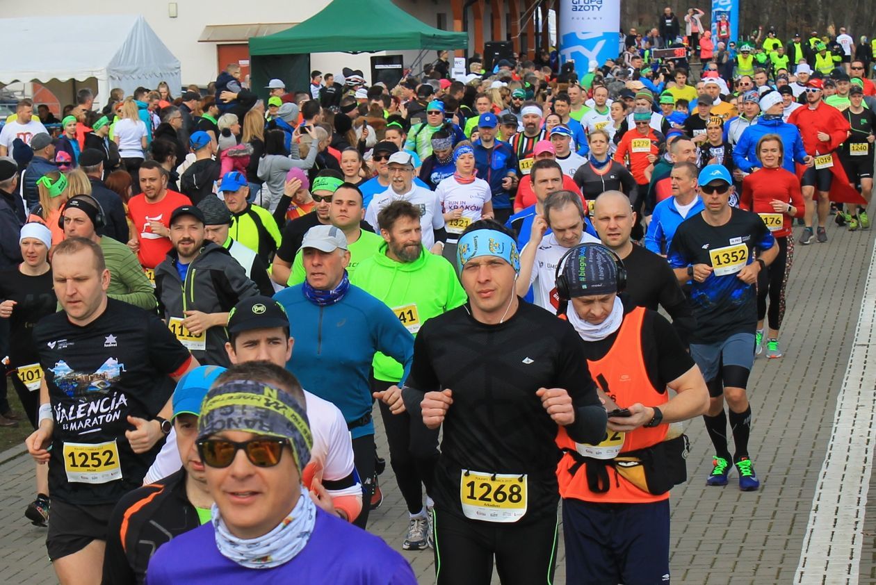  Bieg Zielonych Sznurowadeł 2019 (zdjęcie 1) - Autor: Radosław Szczęch
