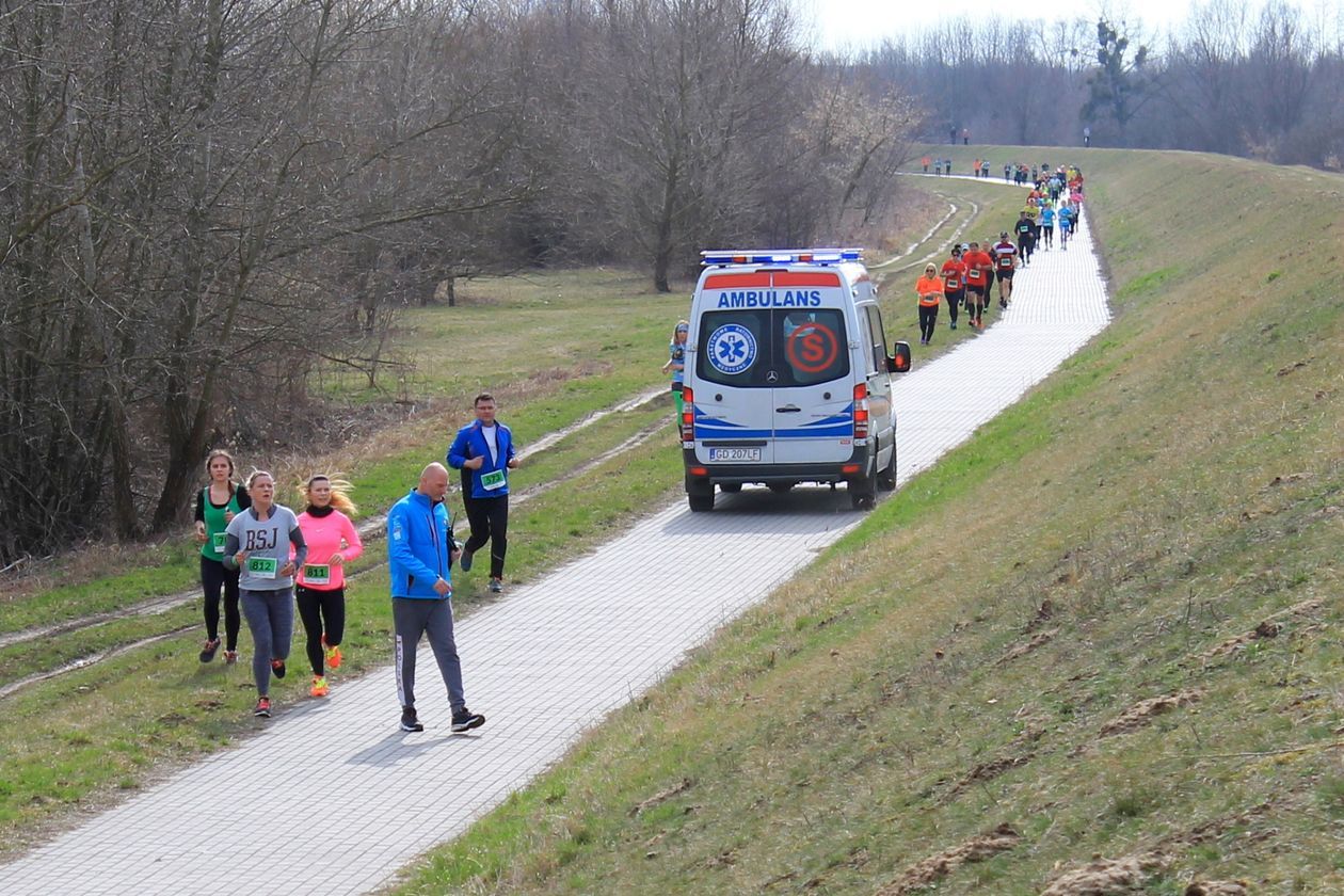  Bieg Zielonych Sznurowadeł 2019 (zdjęcie 1) - Autor: Radosław Szczęch