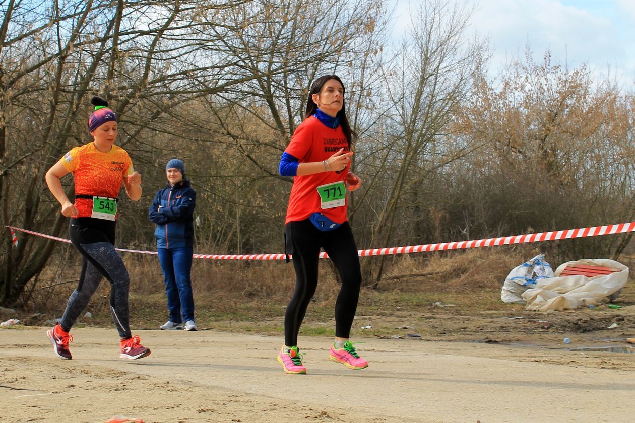  Bieg Zielonych Sznurowadeł 2019 (zdjęcie 1) - Autor: Radosław Szczęch