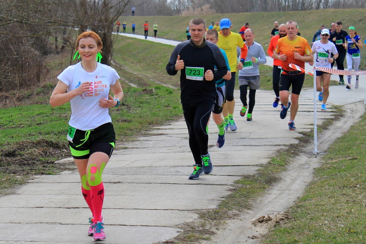  Bieg Zielonych Sznurowadeł 2019 (zdjęcie 1) - Autor: Radosław Szczęch