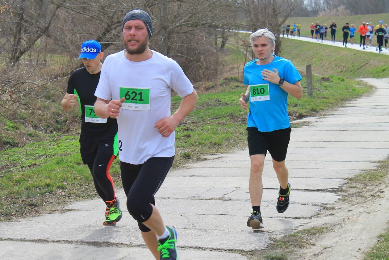  Bieg Zielonych Sznurowadeł 2019 (zdjęcie 1) - Autor: Radosław Szczęch