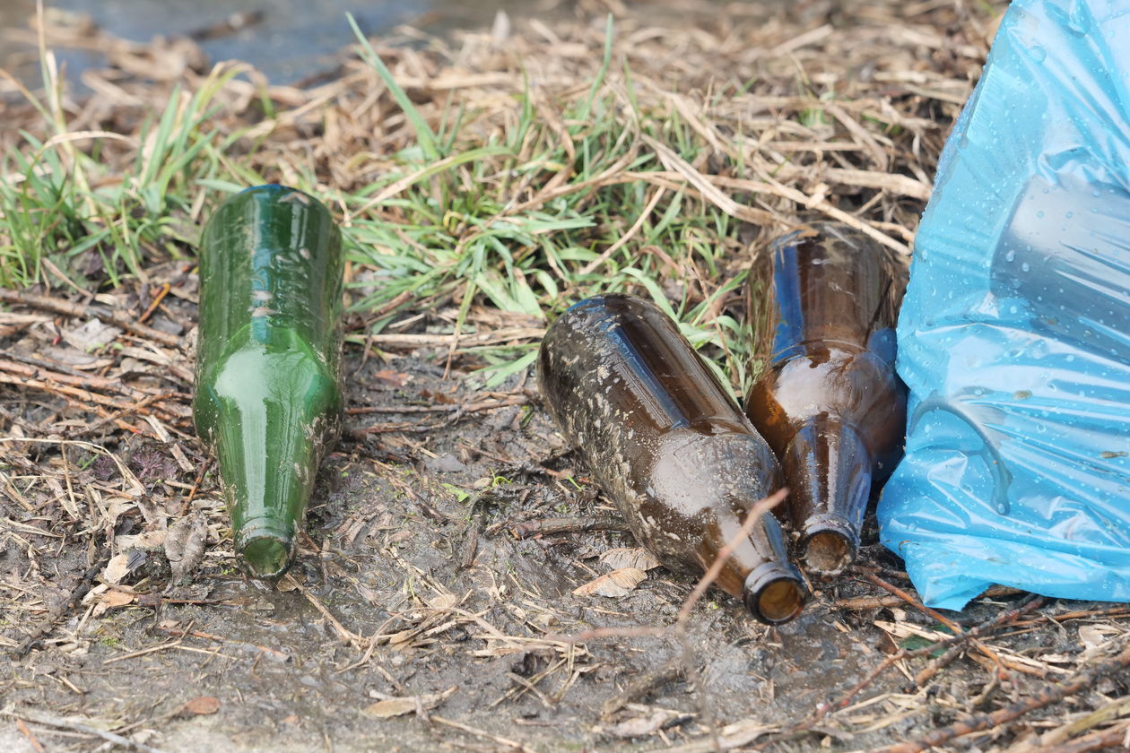  Lubelska rafa butelkowa. Sprzątanie Czerniejówki (zdjęcie 7) - Autor: Krzysztof Mazur