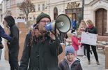 Protest przeciwko zabudowie Górek Czechowskich  (zdjęcie 3)