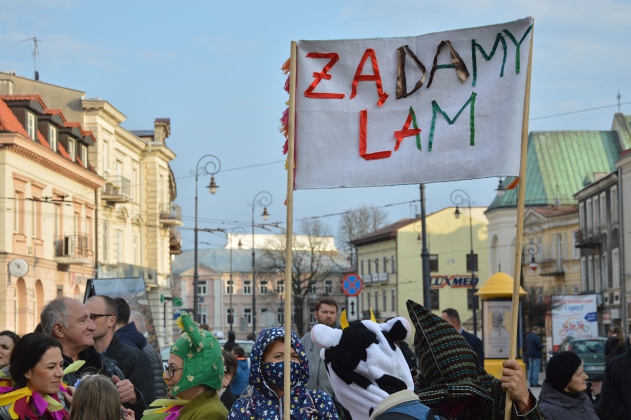  Marsz dla Górek Czechowskich - NIE dla blokowisk (zdjęcie 3) - Autor: Michał Wolny