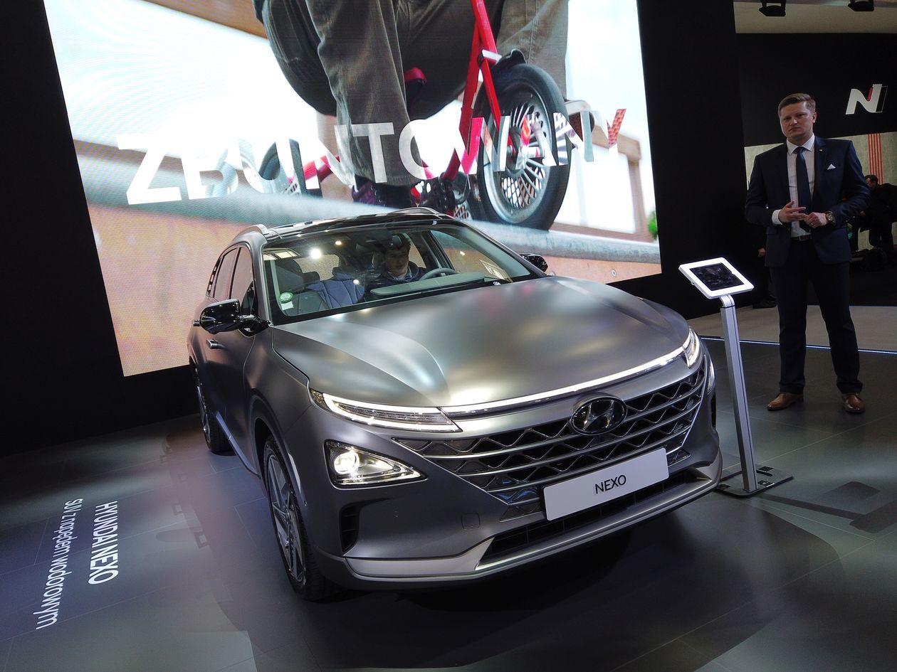  Poznań Motor Show 2019 (zdjęcie 1) - Autor: Paweł Puzio