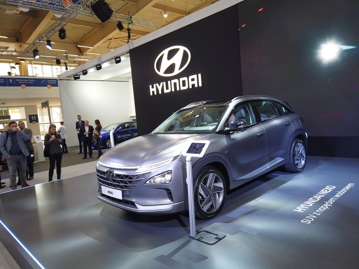  Poznań Motor Show 2019 (zdjęcie 1) - Autor: Paweł Puzio