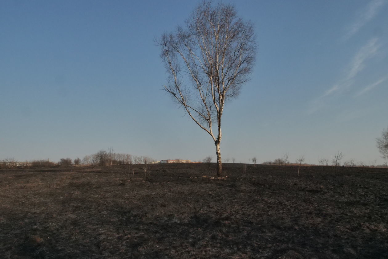  Pożar na górkach czechowskich w Lublinie (zdjęcie 1) - Autor: Paweł Buczkowski