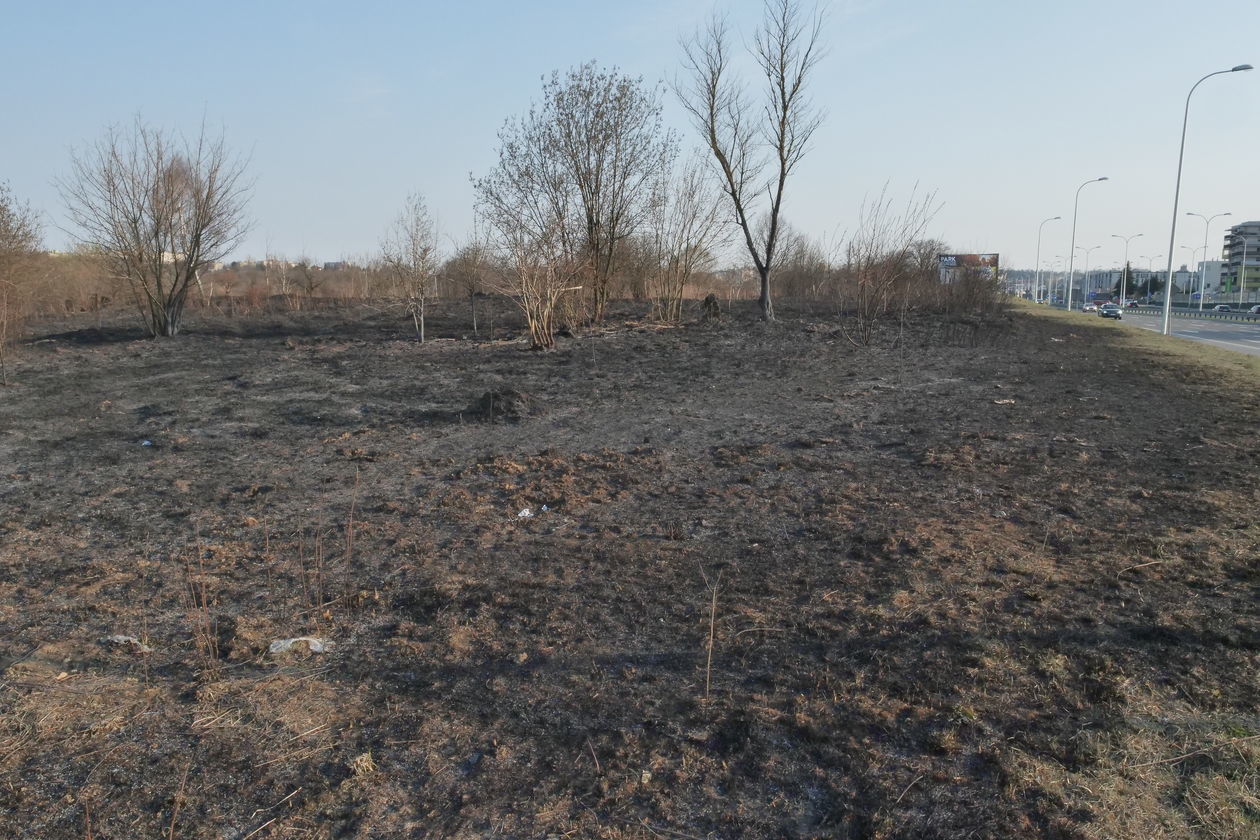  Pożar na górkach czechowskich w Lublinie (zdjęcie 1) - Autor: Paweł Buczkowski