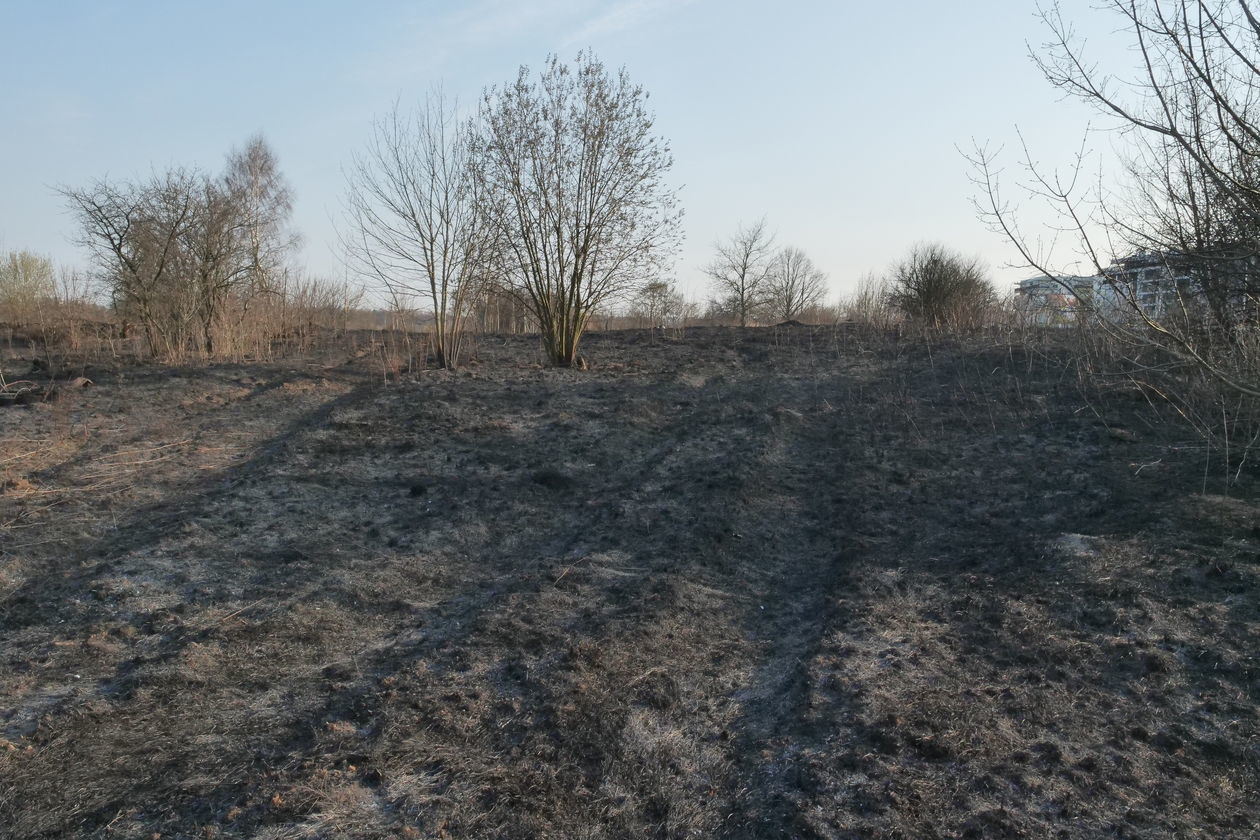  Pożar na górkach czechowskich w Lublinie (zdjęcie 1) - Autor: Paweł Buczkowski