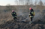 Pożar na górkach czechowskich w Lublinie (zdjęcie 3)