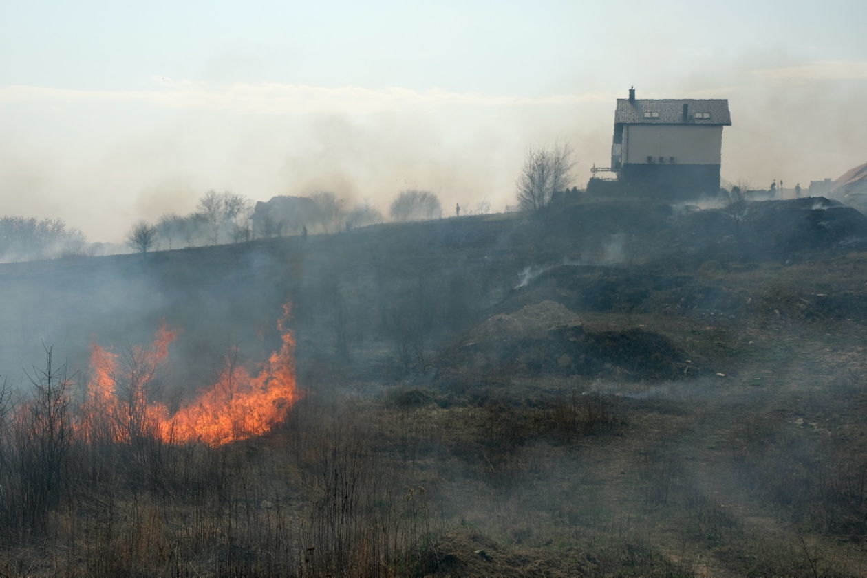  Pożar traw na ul. Torowej w Lublinie (zdjęcie 10) - Autor: Maciej Kaczanowski