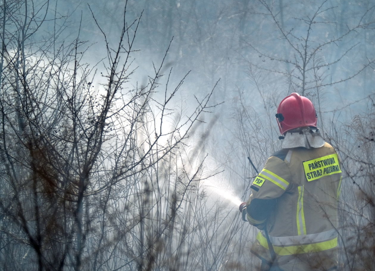  Pożar traw na ul. Torowej w Lublinie (zdjęcie 18) - Autor: Maciej Kaczanowski