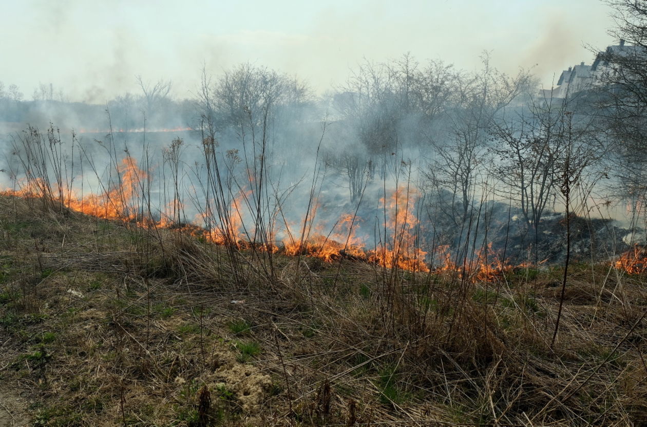  Pożar traw na ul. Torowej w Lublinie (zdjęcie 3) - Autor: Maciej Kaczanowski