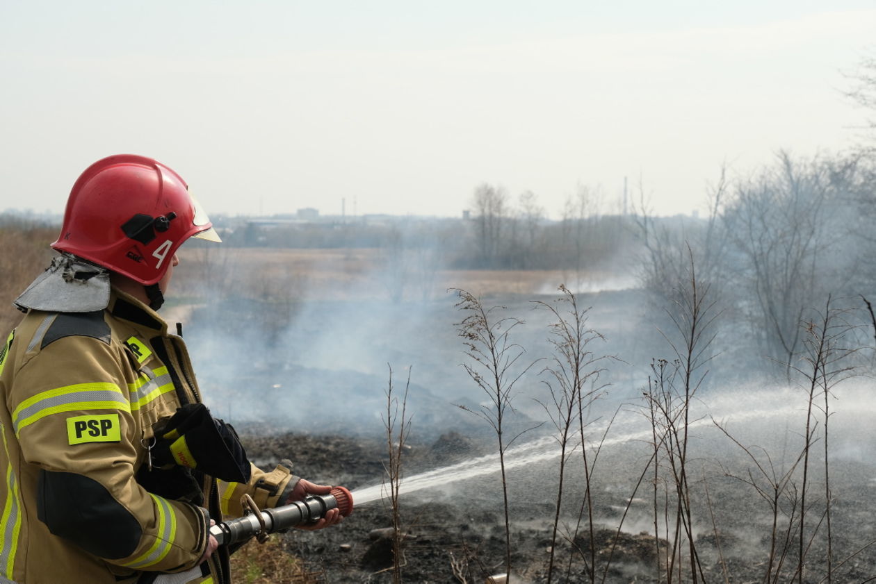  Pożar traw na ul. Torowej w Lublinie (zdjęcie 14) - Autor: Maciej Kaczanowski