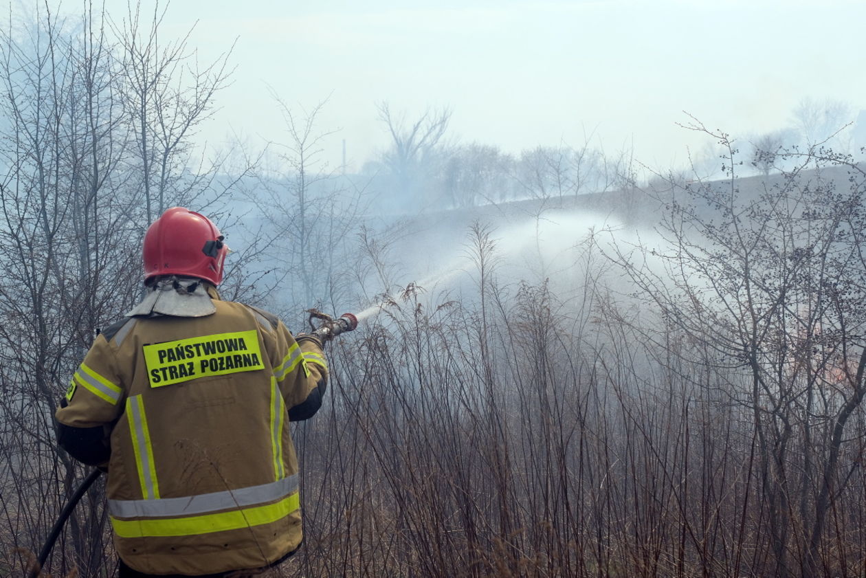  Pożar traw na ul. Torowej w Lublinie (zdjęcie 7) - Autor: Maciej Kaczanowski