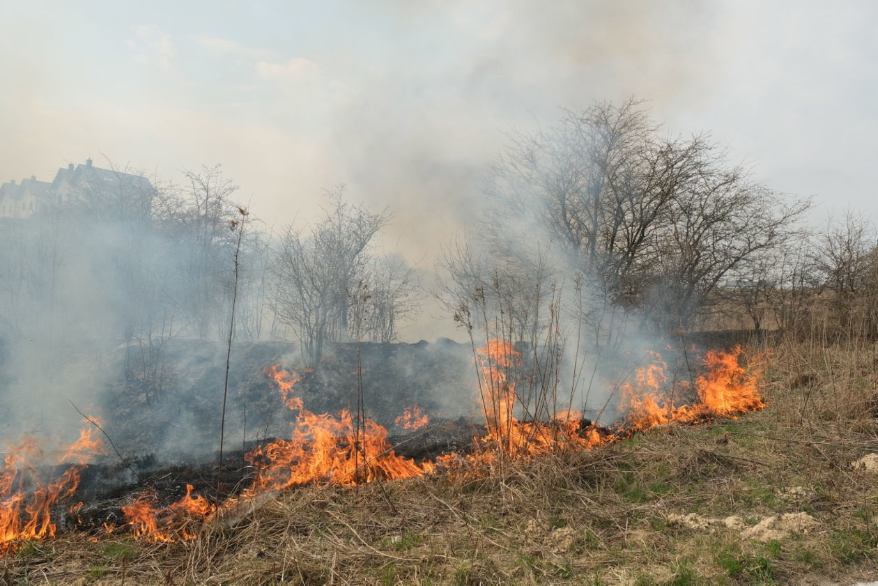  Pożar traw na ul. Torowej w Lublinie (zdjęcie 5) - Autor: Maciej Kaczanowski