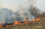 Pożar traw na ul. Torowej w Lublinie (zdjęcie 5)