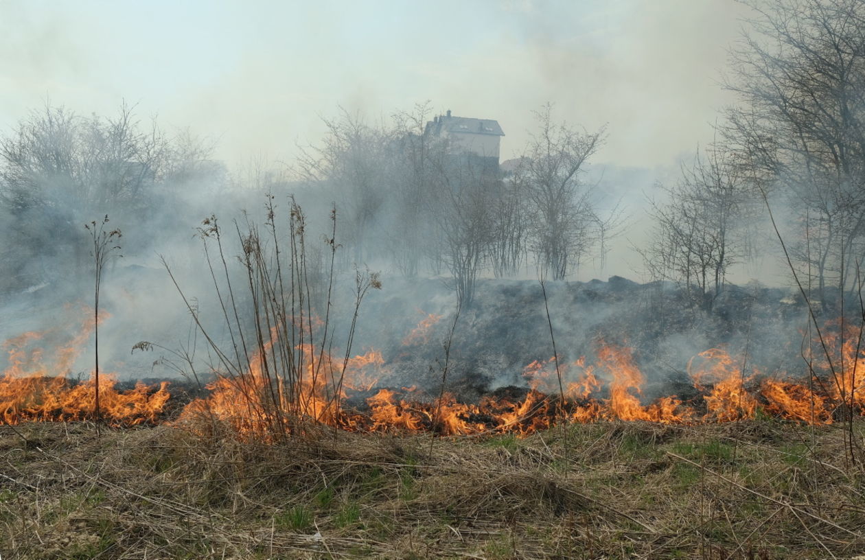  Pożar traw na ul. Torowej w Lublinie (zdjęcie 4) - Autor: Maciej Kaczanowski