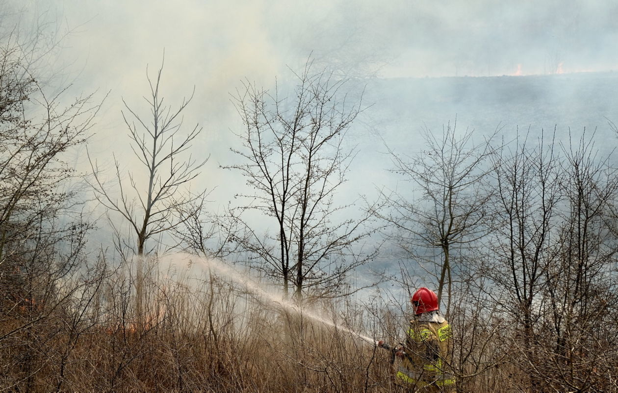  Pożar traw na ul. Torowej w Lublinie (zdjęcie 6) - Autor: Maciej Kaczanowski