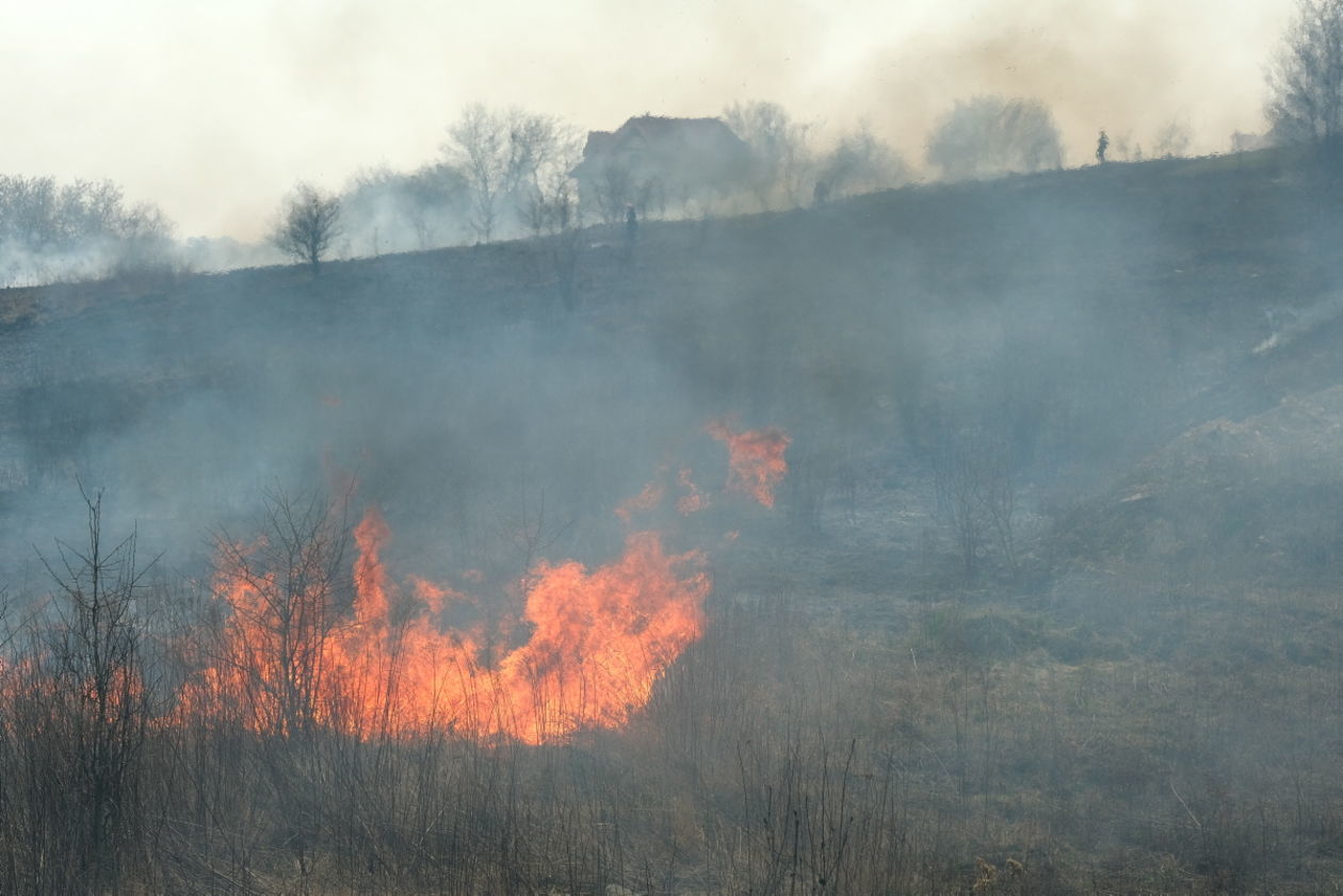  Pożar traw na ul. Torowej w Lublinie (zdjęcie 11) - Autor: Maciej Kaczanowski