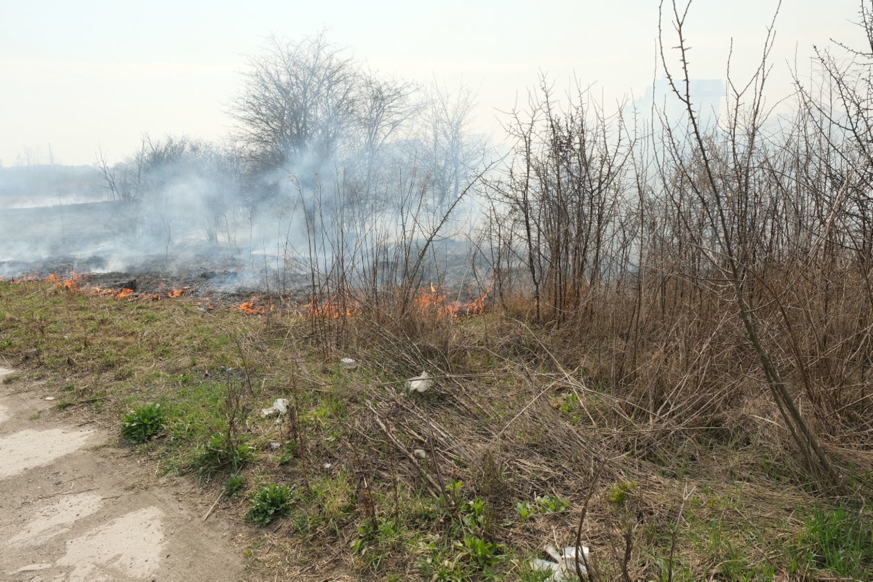  Pożar traw na ul. Torowej w Lublinie (zdjęcie 12) - Autor: Maciej Kaczanowski