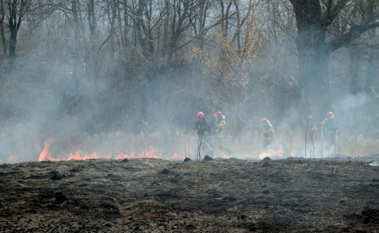  Pożar traw na ul. Torowej w Lublinie (zdjęcie 15) - Autor: Maciej Kaczanowski