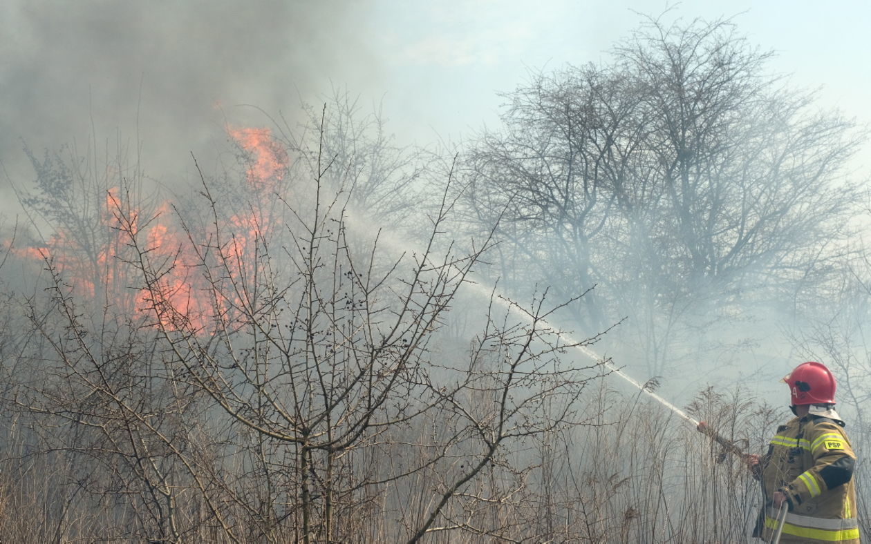  Pożar traw na ul. Torowej w Lublinie (zdjęcie 8) - Autor: Maciej Kaczanowski