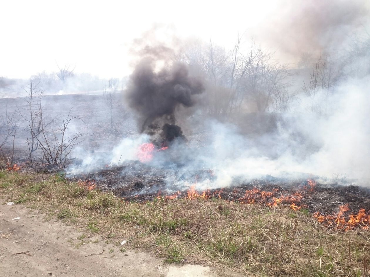  Pożar traw na ul. Torowej w Lublinie  - Autor: Maciej Kaczanowski