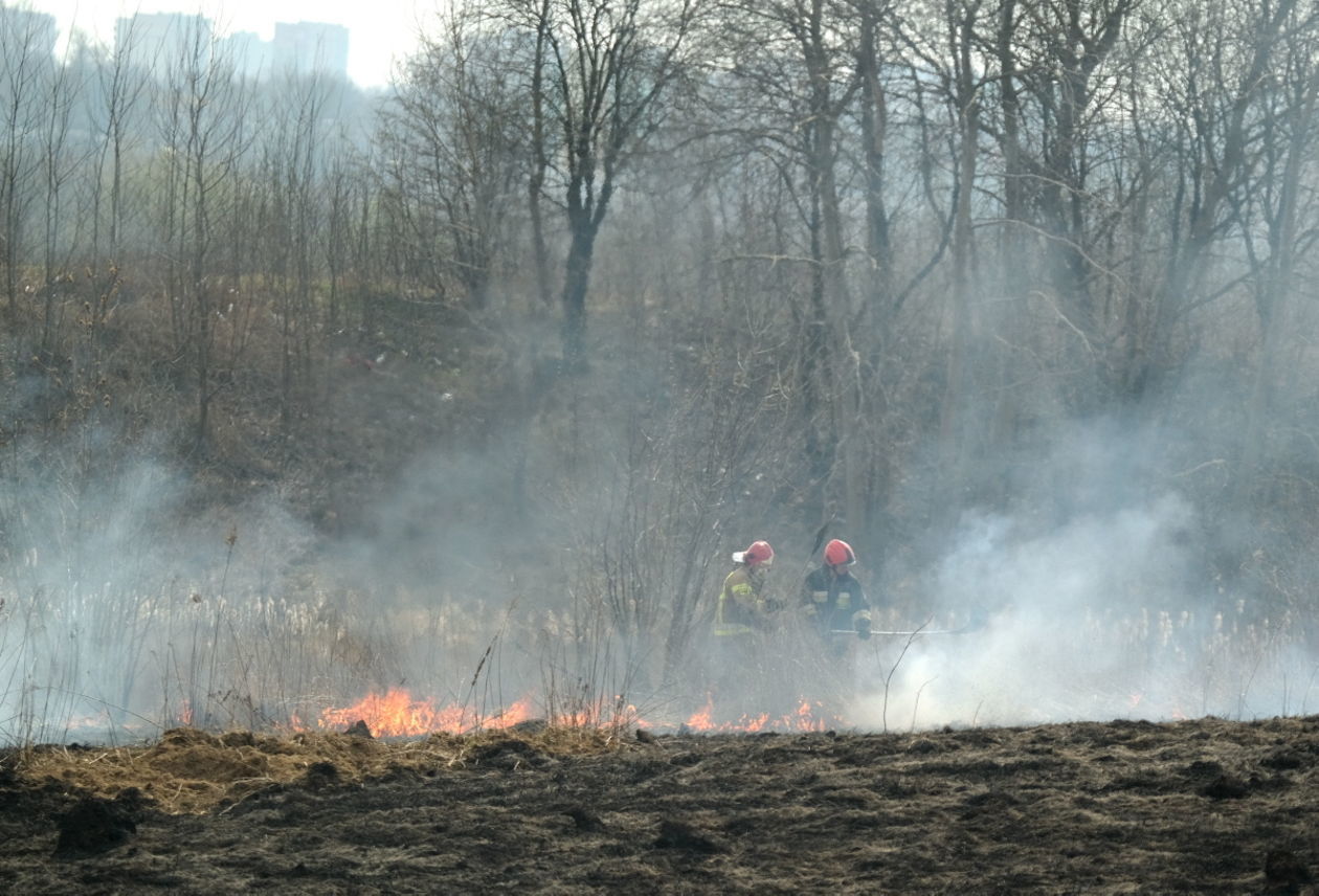  Pożar traw na ul. Torowej w Lublinie (zdjęcie 16) - Autor: Maciej Kaczanowski