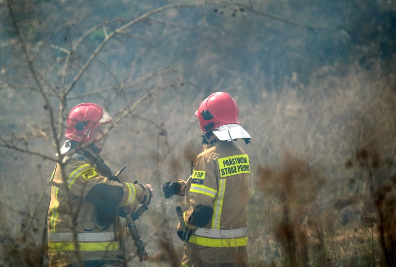  Pożar traw na ul. Torowej w Lublinie (zdjęcie 17) - Autor: Maciej Kaczanowski