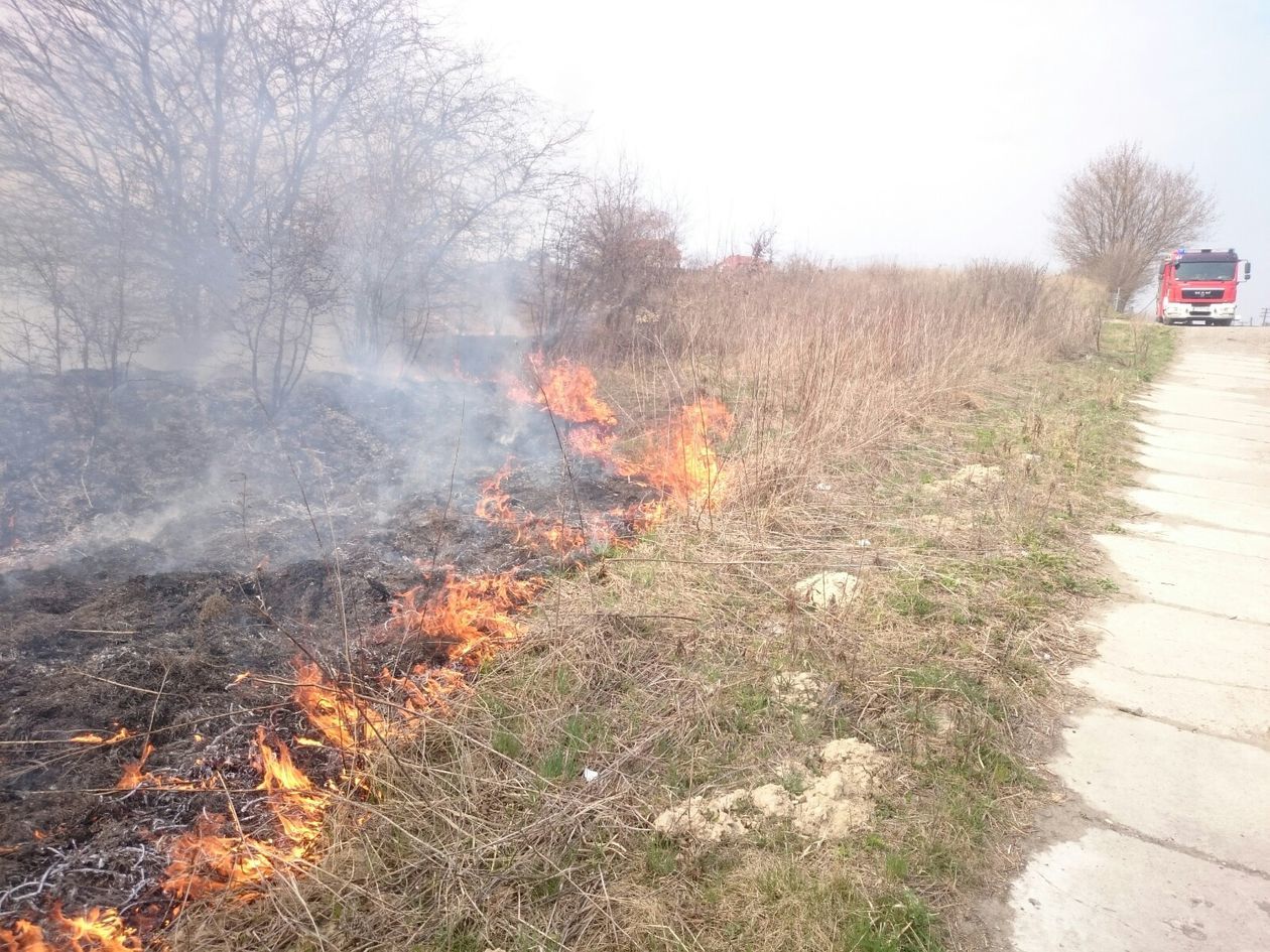  Pożar traw na ul. Torowej w Lublinie (zdjęcie 1) - Autor: Maciej Kaczanowski