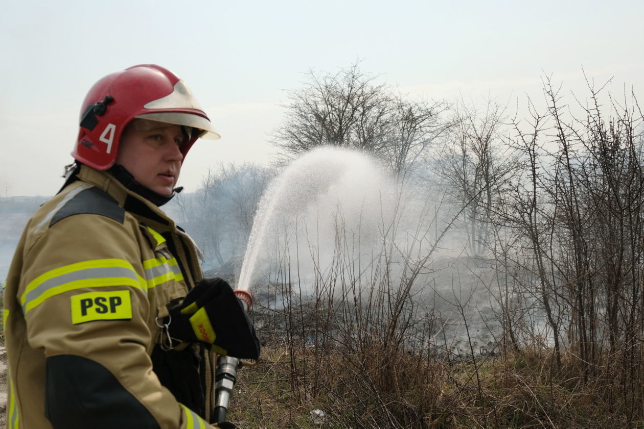 Pożar traw na ul. Torowej w Lublinie (zdjęcie 13) - Autor: Maciej Kaczanowski