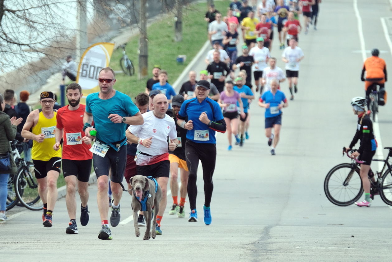  4 Dycha do Maratonu na Zalewem Zemborzyckim (zdjęcie 1) - Autor: Maciej Kaczanowski