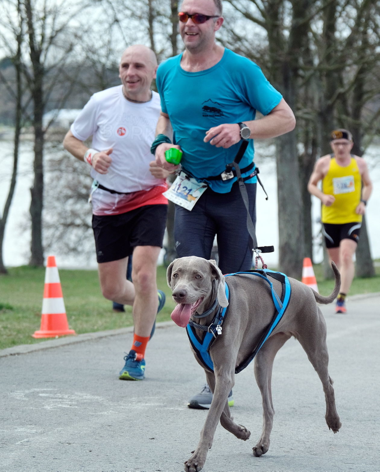  4 Dycha do Maratonu na Zalewem Zemborzyckim (zdjęcie 1) - Autor: Maciej Kaczanowski