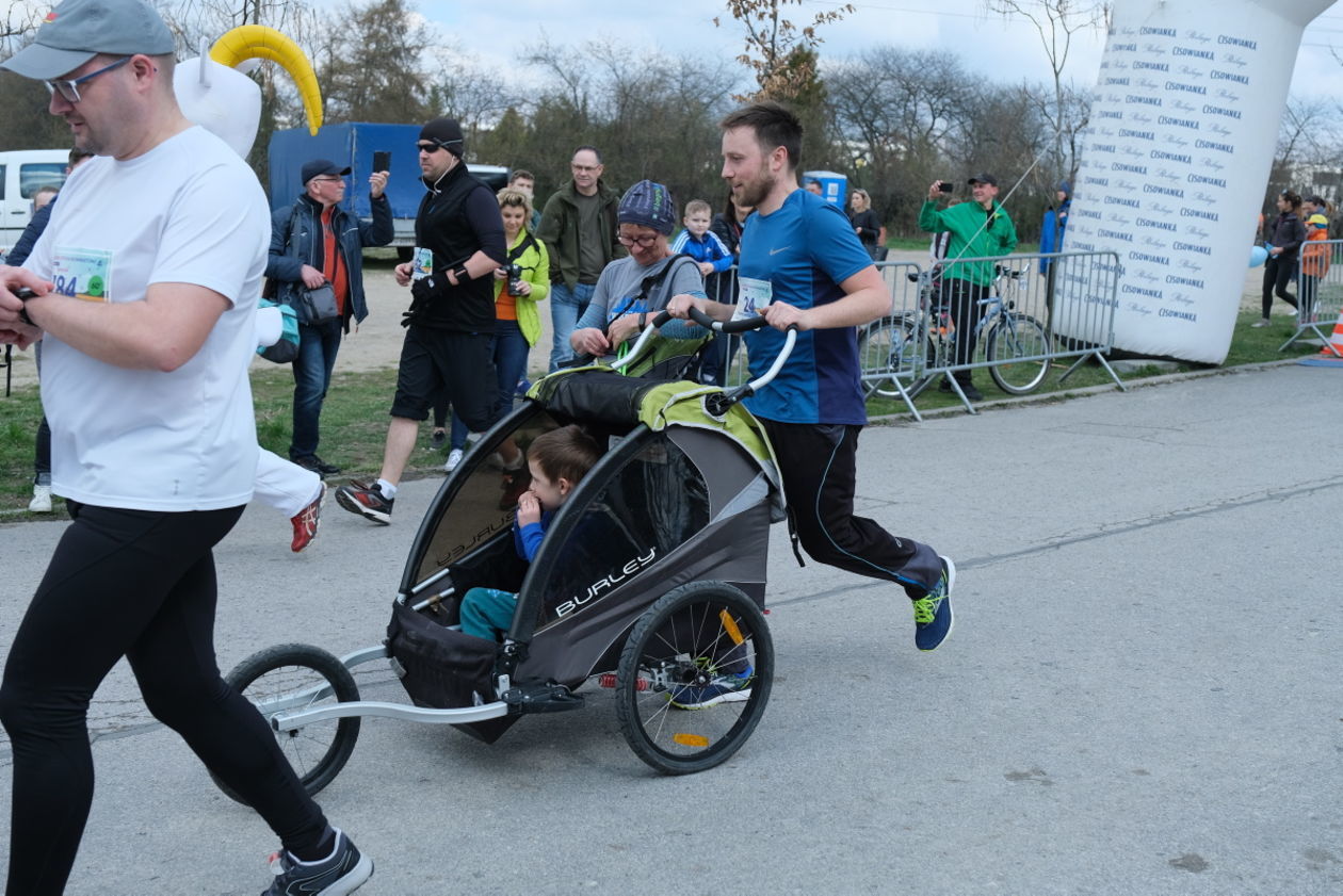  4 Dycha do Maratonu na Zalewem Zemborzyckim (zdjęcie 1) - Autor: Maciej Kaczanowski