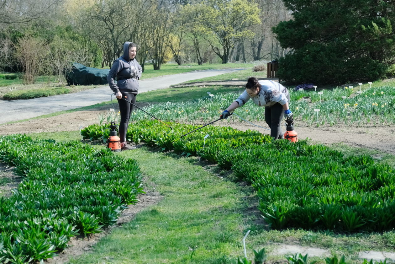  Ogród Botaniczny w niedzielę zostanie otwarty dla zwiedzających (zdjęcie 1) - Autor: Maciej Kaczanowski