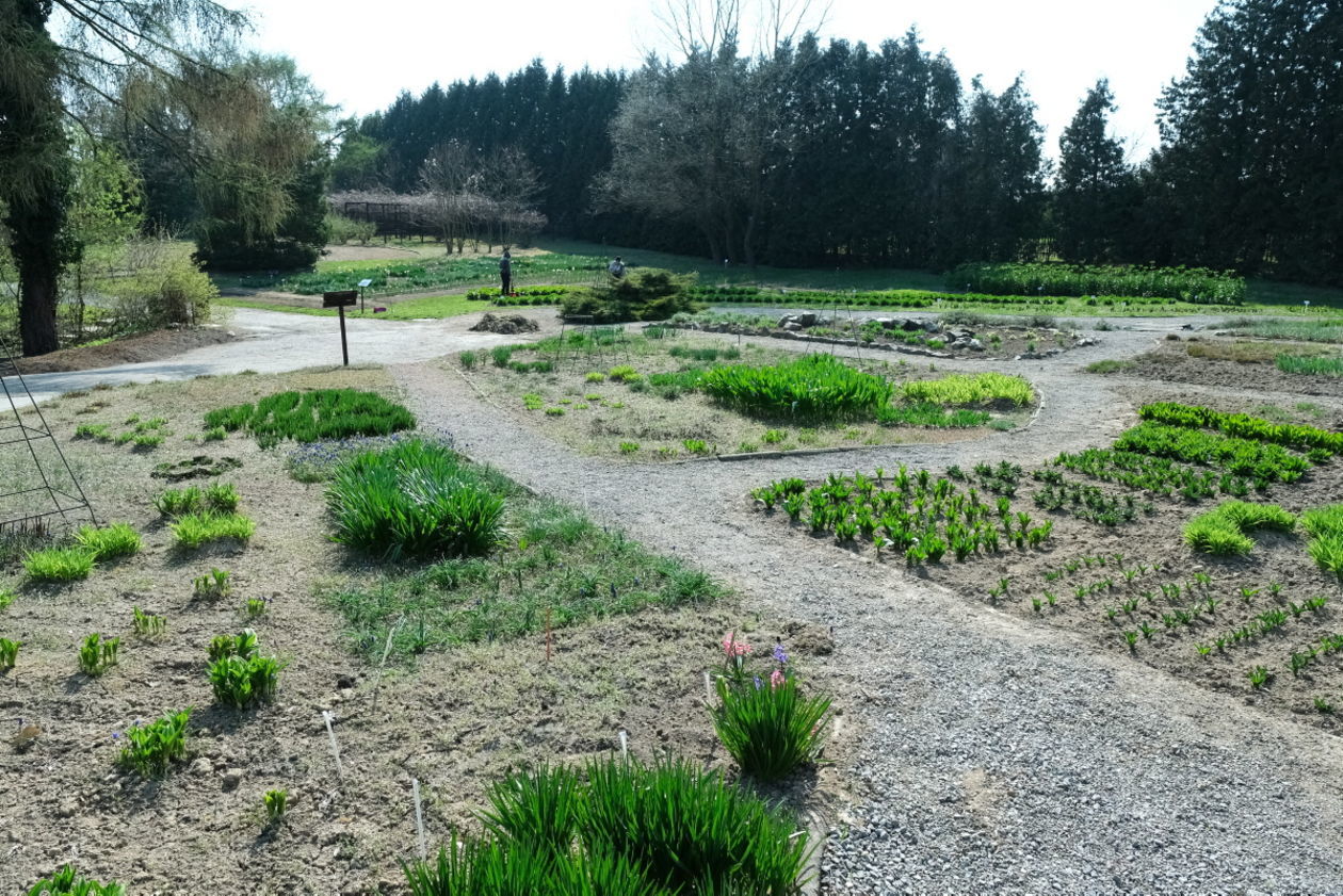  Ogród Botaniczny w niedzielę zostanie otwarty dla zwiedzających (zdjęcie 1) - Autor: Maciej Kaczanowski