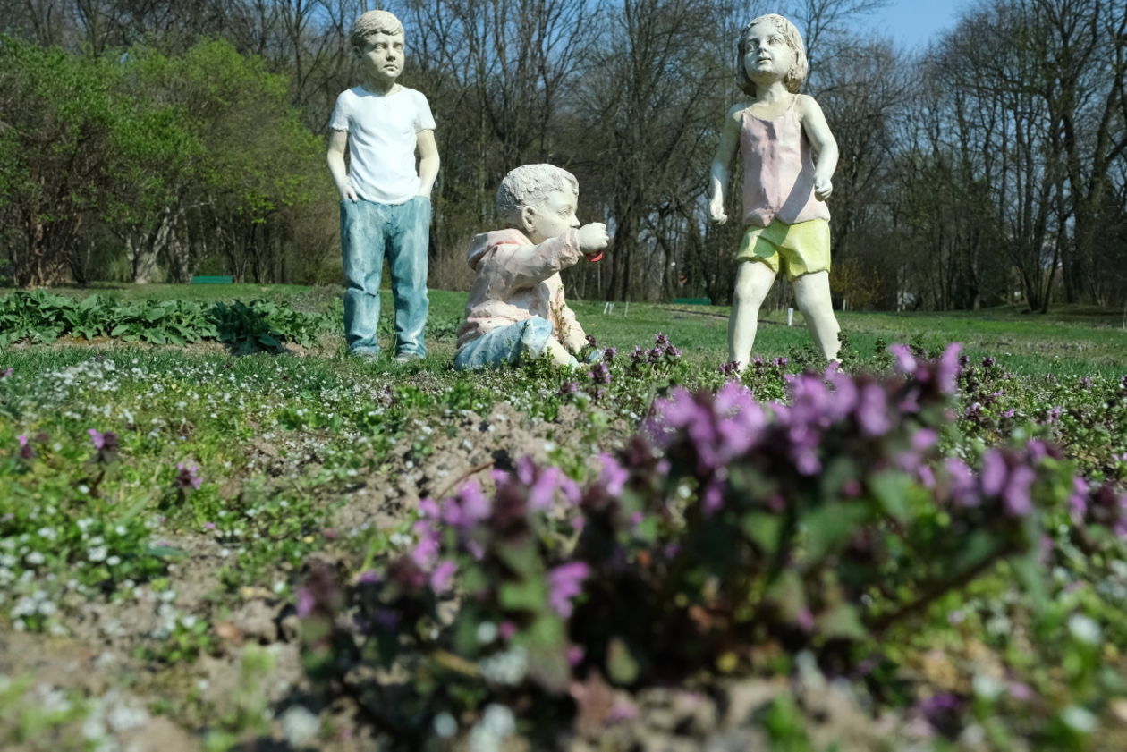  Ogród Botaniczny w niedzielę zostanie otwarty dla zwiedzających (zdjęcie 1) - Autor: Maciej Kaczanowski