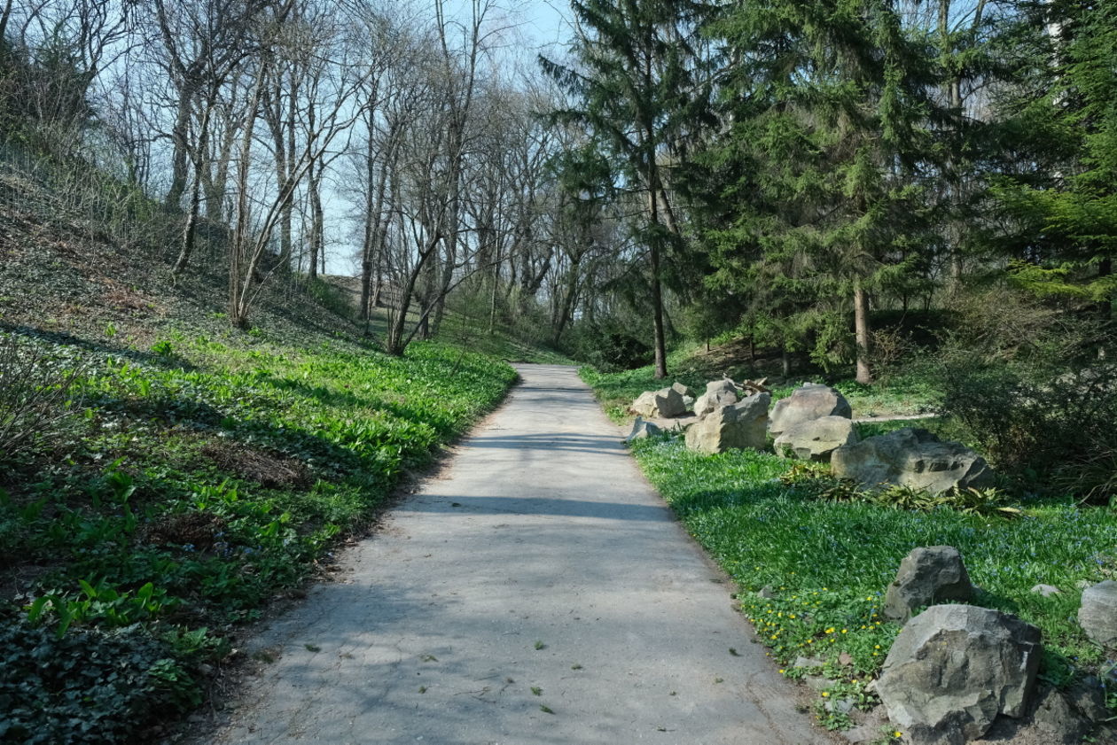 Ogród Botaniczny w niedzielę zostanie otwarty dla zwiedzających (zdjęcie 1) - Autor: Maciej Kaczanowski