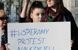 Pikieta na pl. Litewskim: uczniowie popierają strajk nauczycieli (zdjęcie 4)