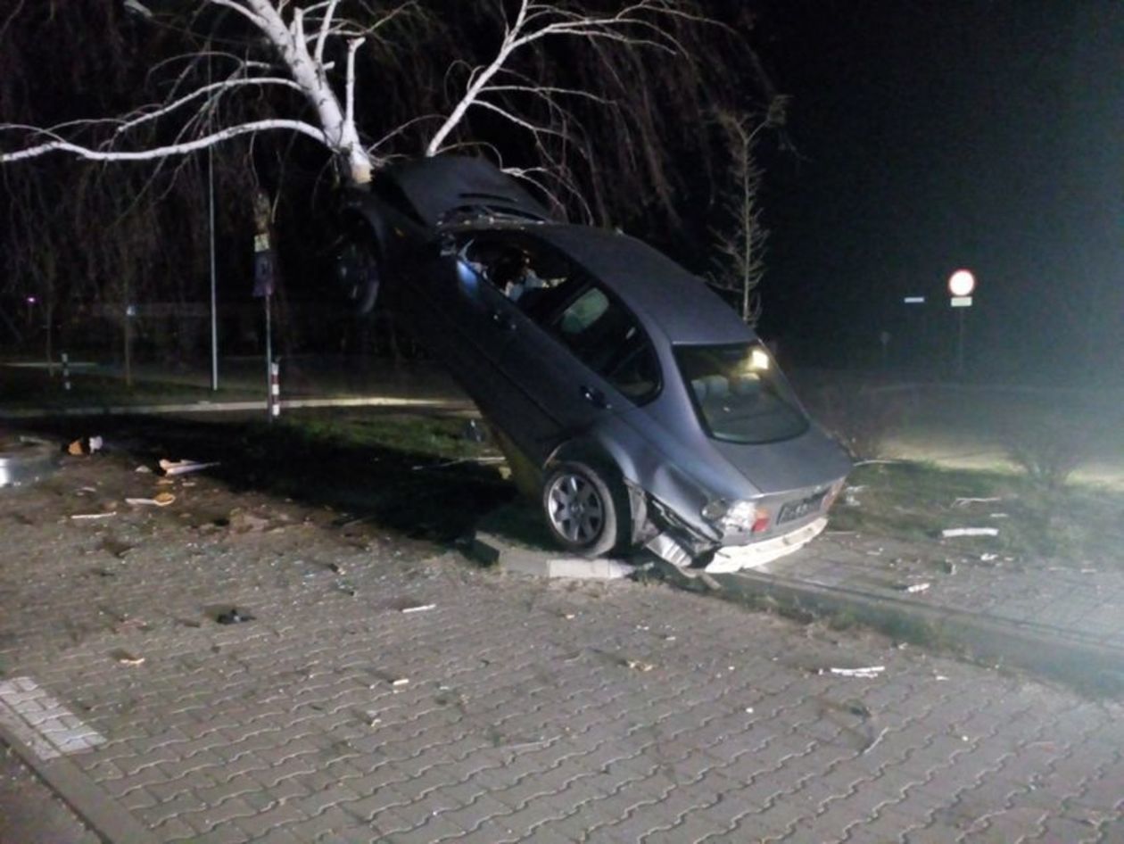  Janów Lubelski. Kierowca BMW wjechał na drzewo (zdjęcie 1) - Autor: AUTO Łysiak - Pomoc drogowa Janów Lubelski